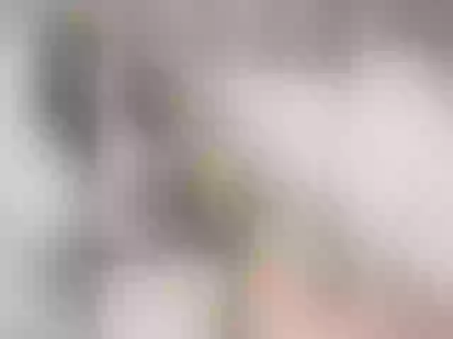Live sex webcam photo for Channel21 #254042244
