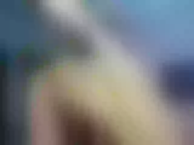 Live sex webcam photo for Borra #253020276