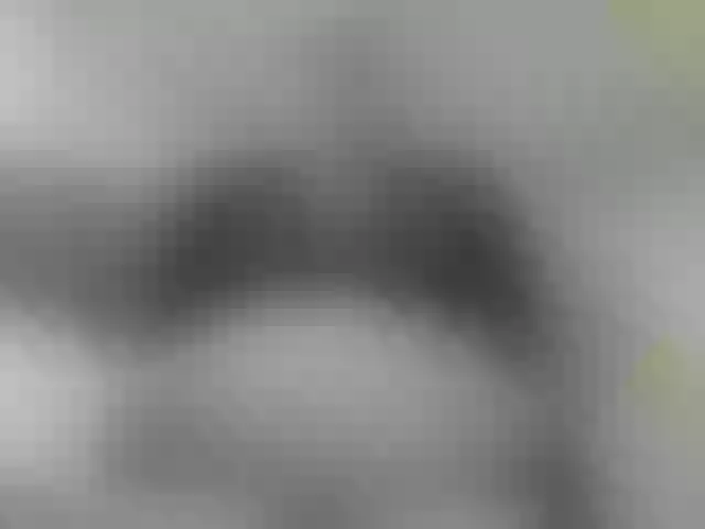 Live sex webcam photo for pugglelover #253758539