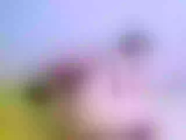 Live sex webcam photo for 669Aleksa669 #240929254