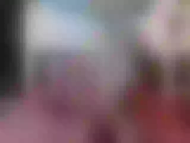 Live sex webcam photo for AylisaX #264533428