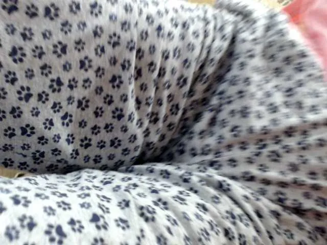 Live sex webcam photo for BBWStefany #241084799