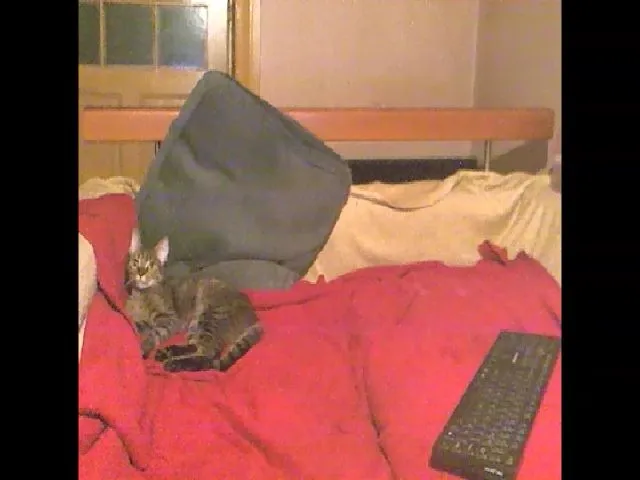 Live sex webcam photo for Lili_Mari69 #265483756