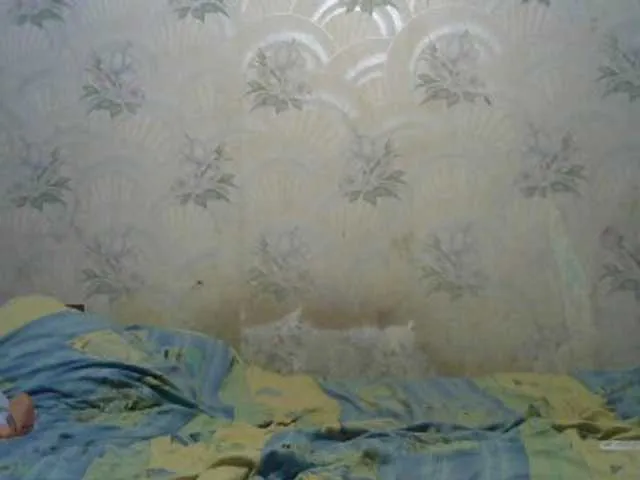 Live sex webcam photo for REPTILIAY #241007330