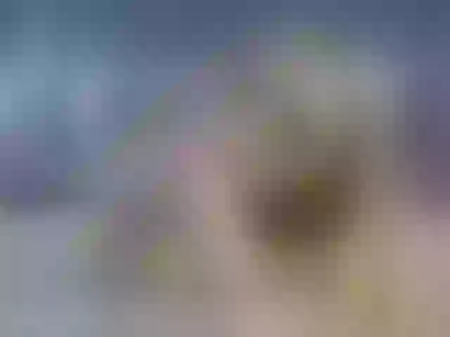 Live sex webcam photo for Fergie-sex #250602781