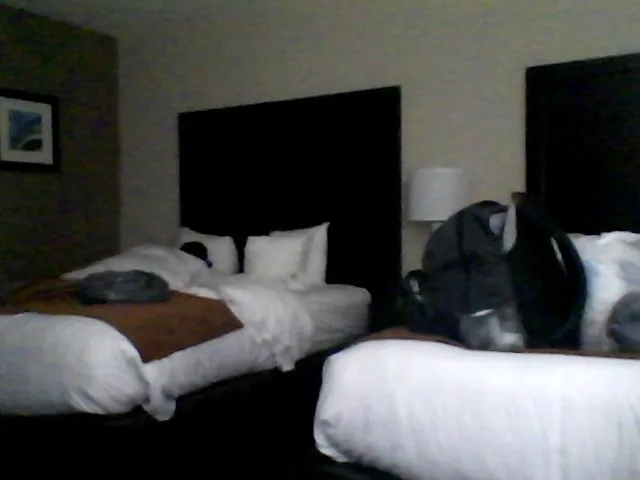 Live sex webcam photo for CocoaCat #263624024