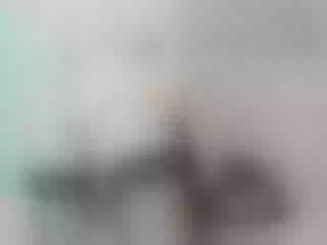Live sex webcam photo for SiouxPrincess #257651867