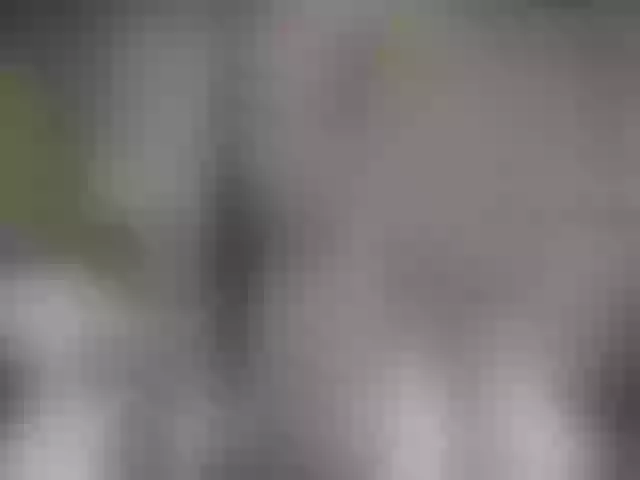Live sex webcam photo for QuinnGray #252393391