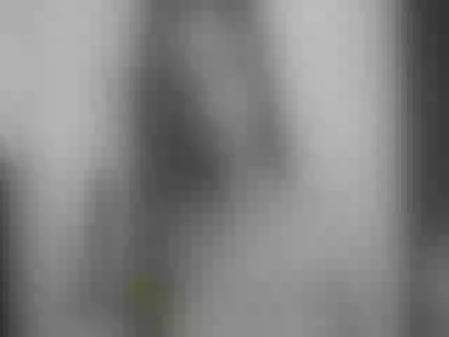 Live sex webcam photo for AvrilDollX #253170704