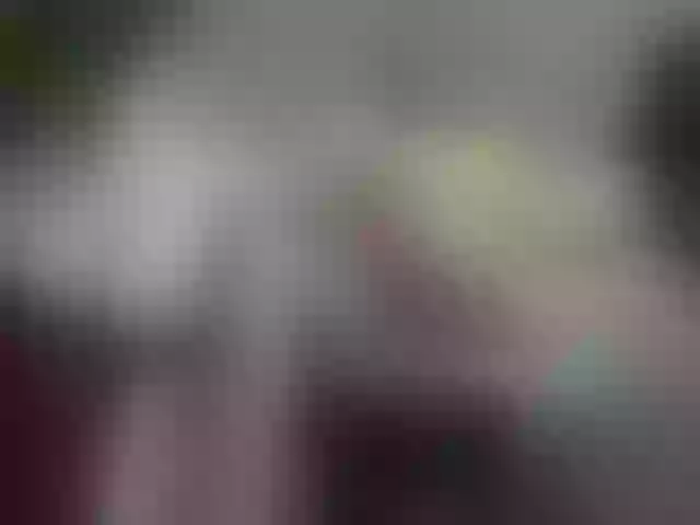 Live sex webcam photo for Girasolwalton #255928168