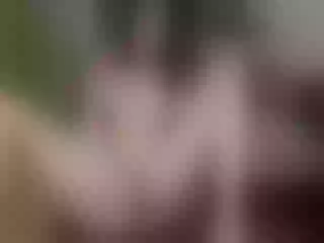 Live sex webcam photo for Evelynevi #252708051