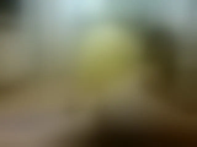 Live sex webcam photo for RockGoddesss #253500214