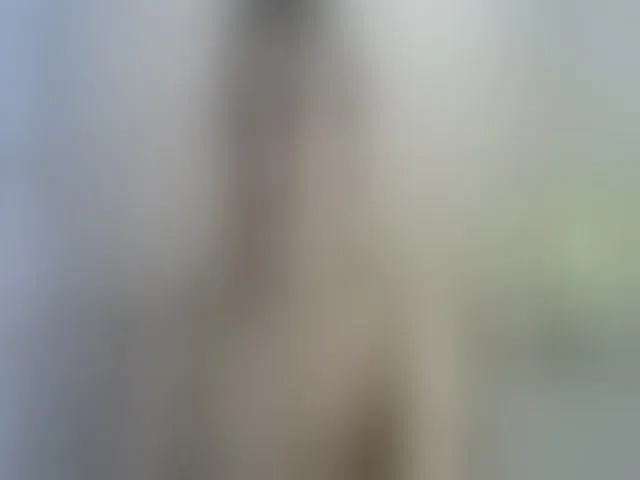Live sex webcam photo for MyyDream #262331588