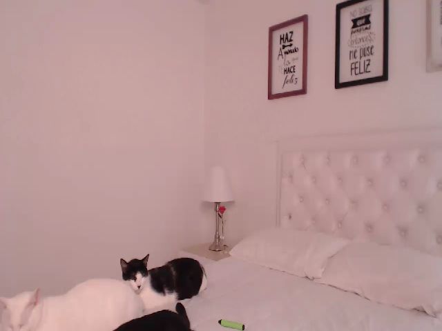 Live sex webcam photo for Jessie_Moore #253258328