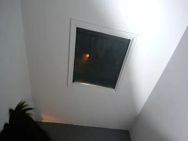 Live sex webcam photo for SUSYBALE #258263592