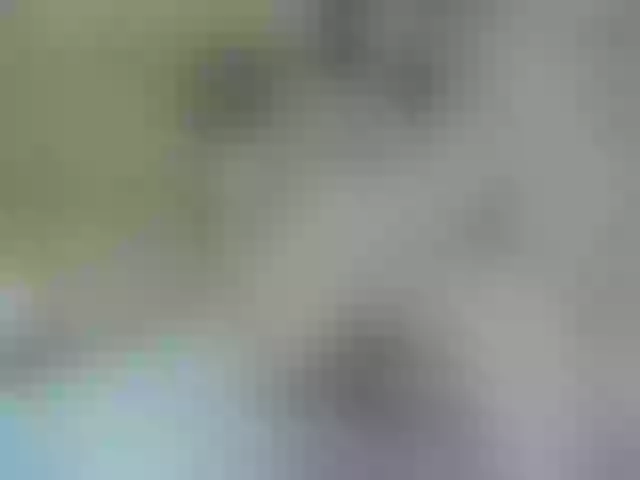 Live sex webcam photo for Mssburbuja #255847830
