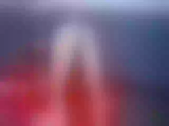 Live sex webcam photo for FoxyPlaymer #263102576