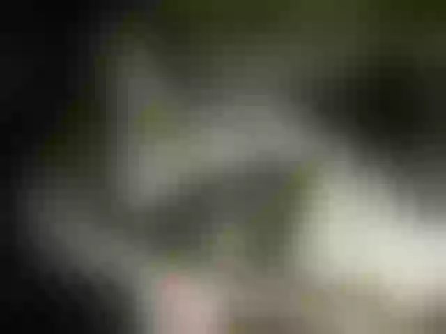 Live sex webcam photo for Lara551 #241015653