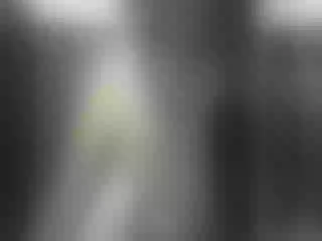 Live sex webcam photo for AsaGold #254757787