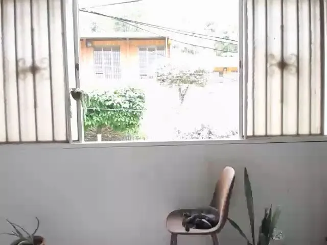 Live sex webcam photo for Akeishaa_ #256312123