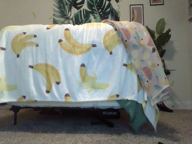 Live sex webcam photo for PonyoLovesHam #262531214