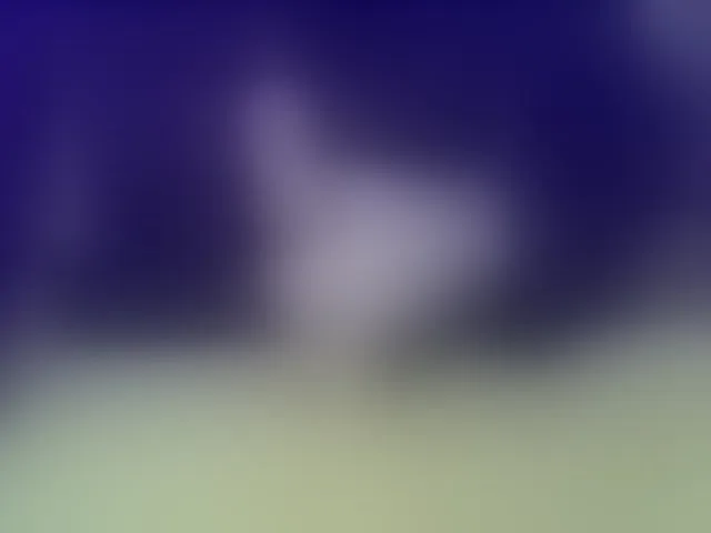 Live sex webcam photo for IngaQAce #287968534
