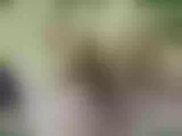 Live sex webcam photo for PureEmanuelle #264091703
