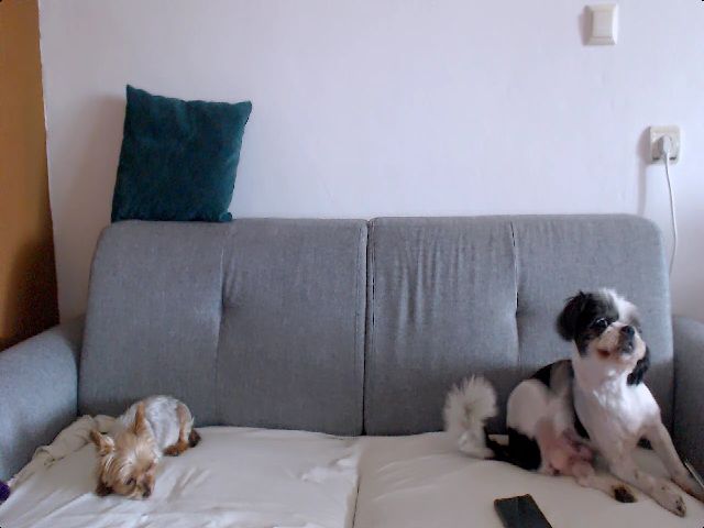 Live sex webcam photo for Stephycute #256220202