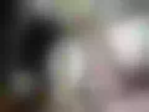 Live sex webcam photo for S3xyDollXXX #244636549