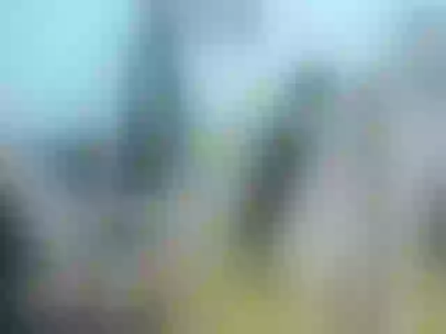 Live sex webcam photo for AletaOcean #264722941