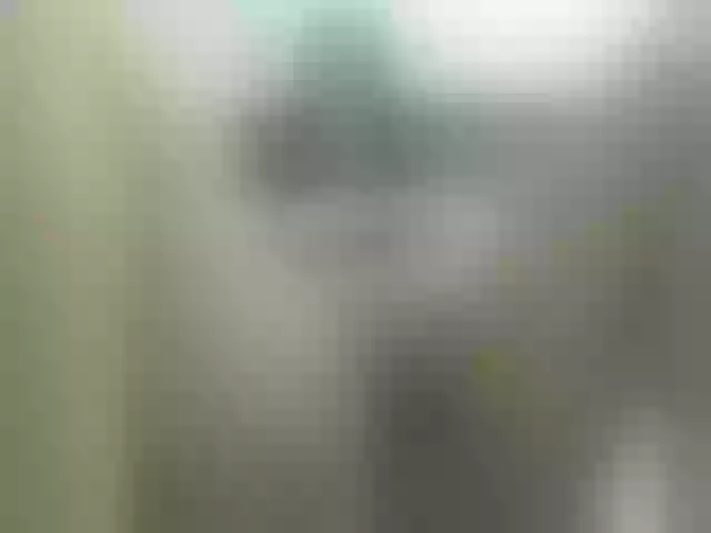 Live sex webcam photo for angiebigtits #264710986