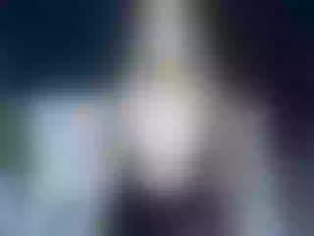 Live sex webcam photo for Ellaquality #262230099