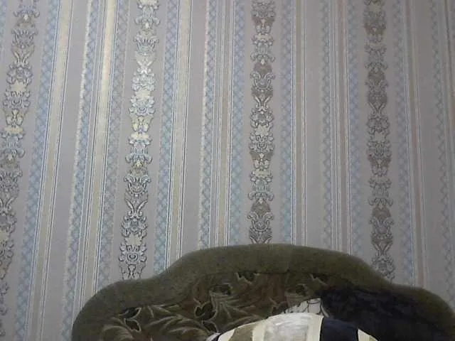 Live sex webcam photo for kittenLada #241077689