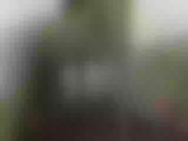 Live sex webcam photo for EleianaRose #256166269