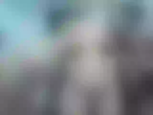 Live sex webcam photo for GoldGroupXXX #252943965