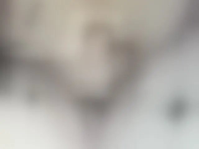 Live sex webcam photo for Anymaisa #241274462