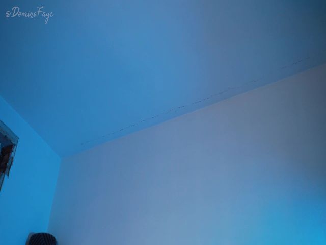 Live sex webcam photo for DominoFaye #253546737