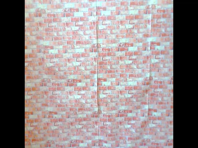 Live sex webcam photo for JiMiola #261931183