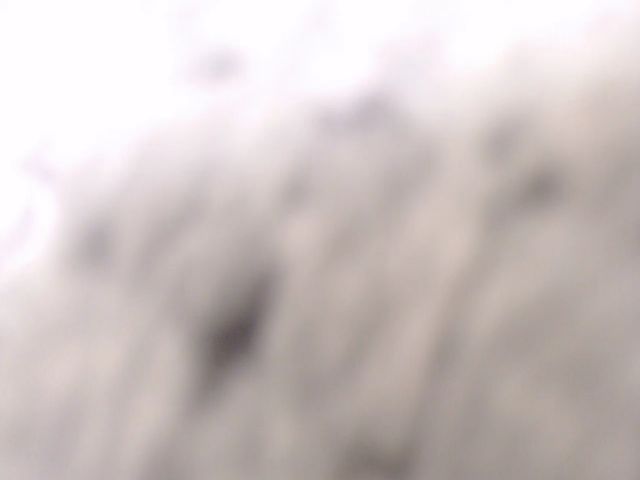 Live sex webcam photo for WildPersian #262920646