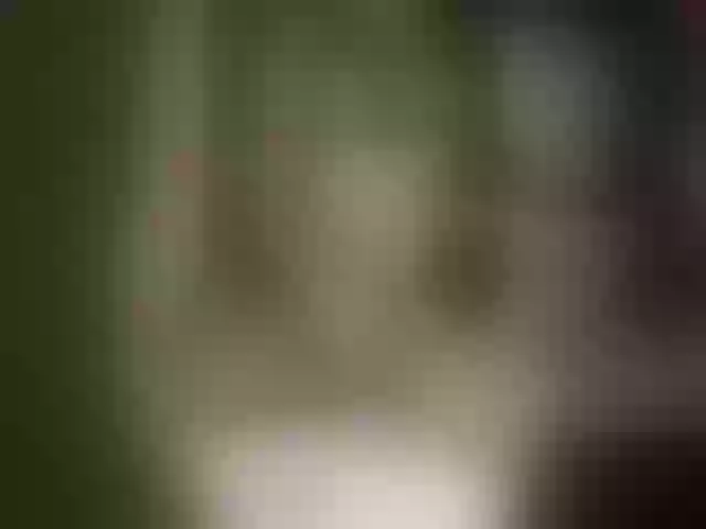 Live sex webcam photo for Anastosia1998 #241336263