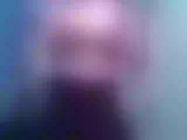 Live sex webcam photo for Evatwiss #255951321