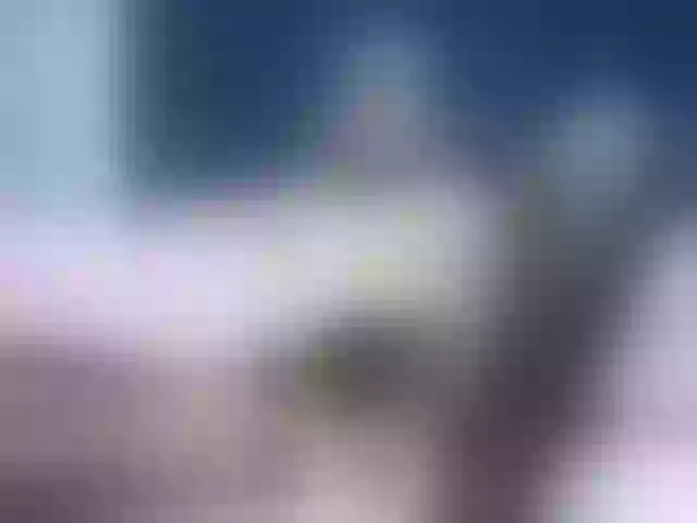 Live sex webcam photo for Ellaquality #256223704