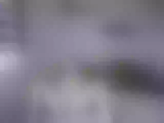 Live sex webcam photo for jennifer1177 #264943916