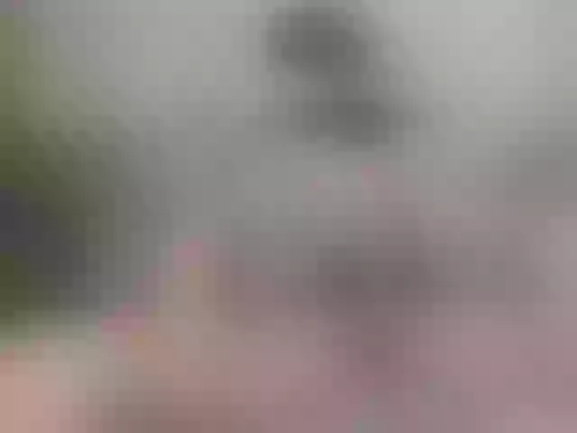 Live sex webcam photo for fox-seks #251342416