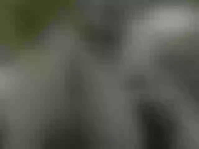 Live sex webcam photo for Shy_Arwyn #255058604
