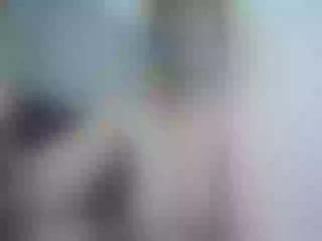 Live sex webcam photo for Girasolwalton #256533794