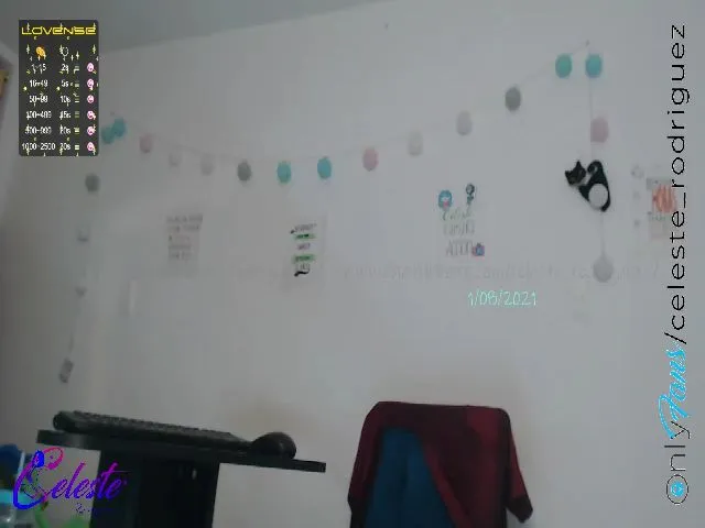 Live sex webcam photo for Celeste_r #262871967