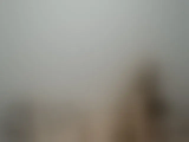 Live sex webcam photo for WildLadyHawke #252582079