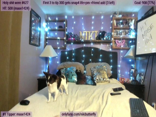 Live sex webcam photo for Nikibutterfly #259708150