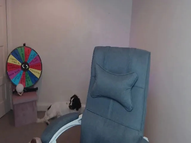 Live sex webcam photo for BrandiCamz #259310569